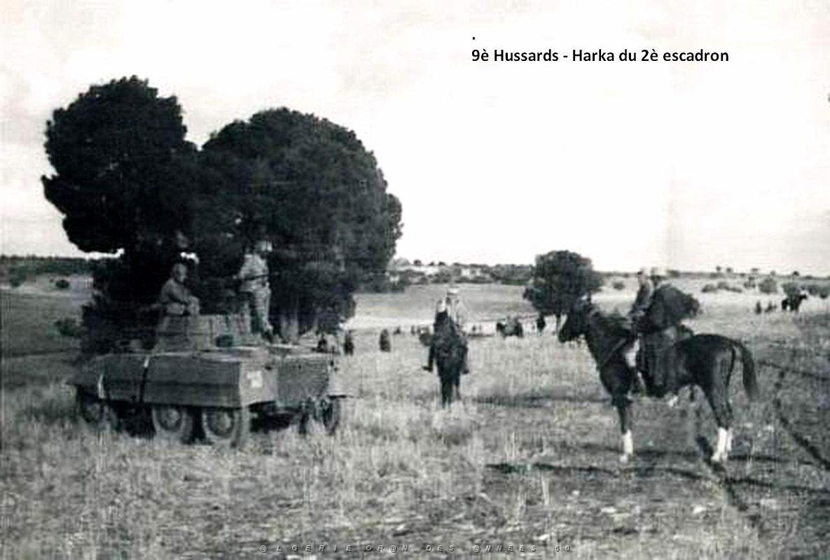 HARKA 8.jpg
